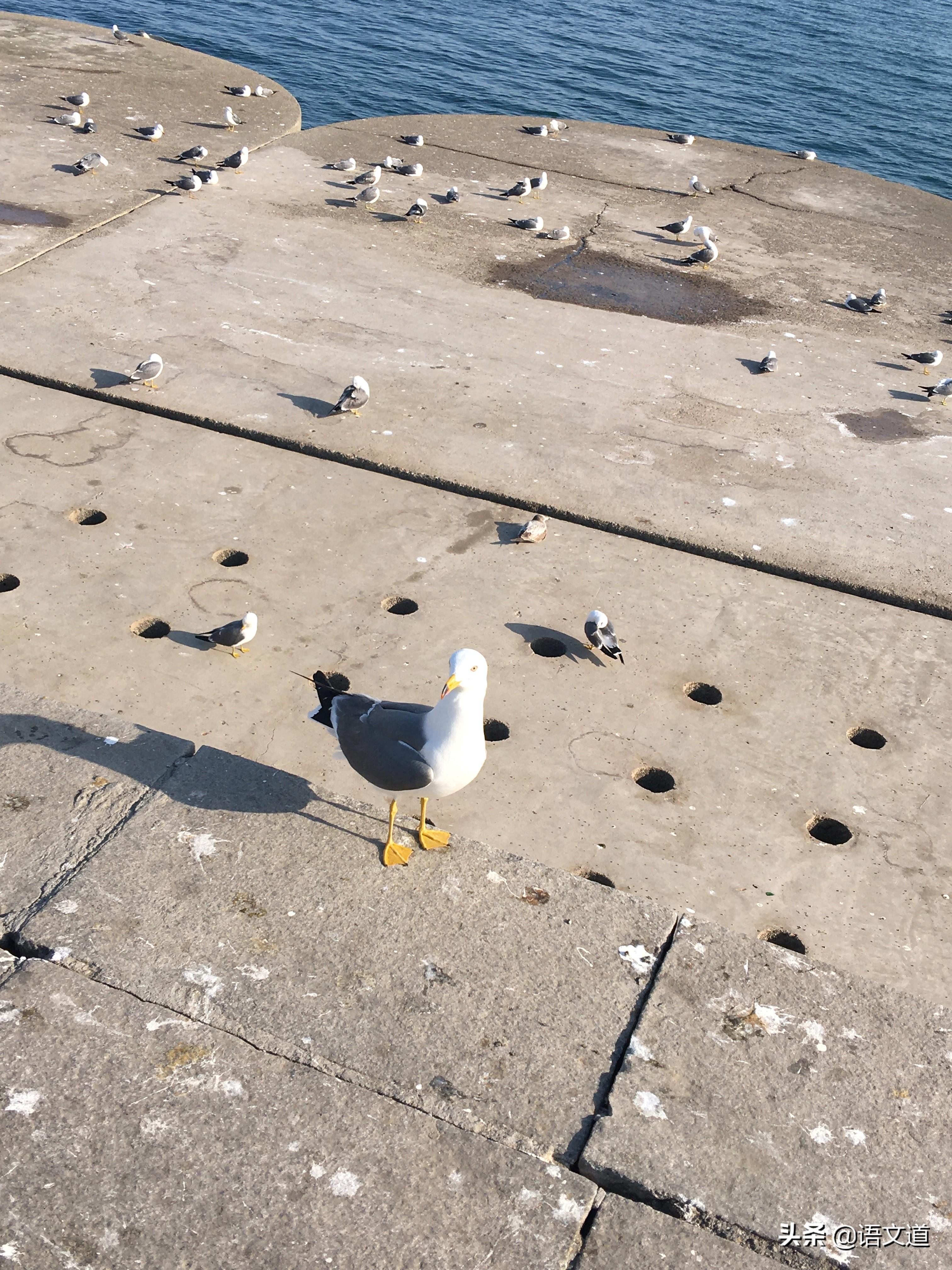 2020年4月6日到底适不适合办大事？