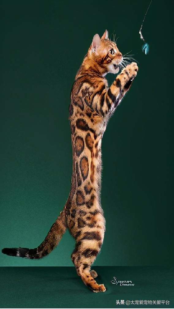 06 01到底藏着什么通关秘籍？