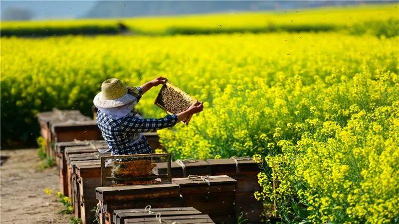 淘宝活动预热与正式活动价格对比:预热期间能否购买? 淘宝活动预热与正式活动价格对比:预热期间能否购买?