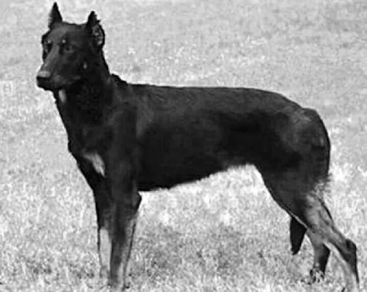 零库存开网店真的能月入过万吗？