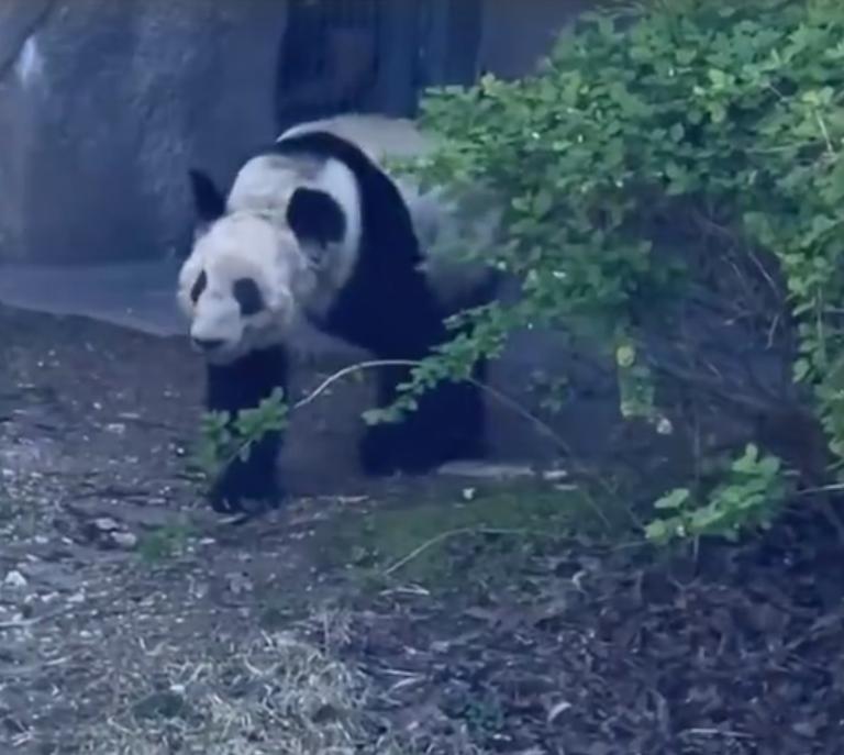 京东直赔退钱流程详解：退款到账时间、规则及注意事项