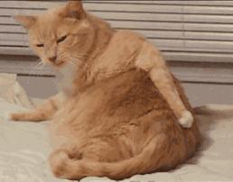 淘宝购物车结算时到底怎么付钱？