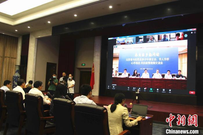 养紫冠亚马逊鹦鹉真的适合新手吗？