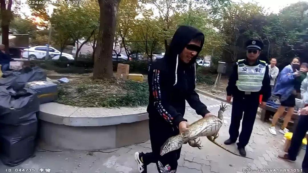 蜥蜴基础知识：了解蜥蜴的生活习性与饲养技巧