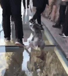 为什么别人的 霏 能五杀，你的却送人头？