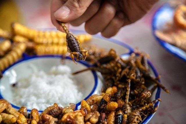 三五成群到底指的是哪个生肖动物？