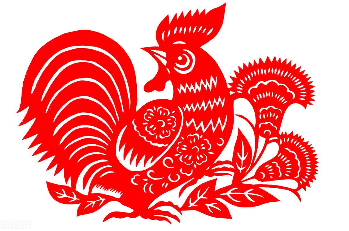 属狗人2022年真的能咸鱼翻身吗？