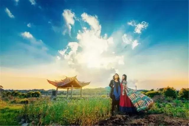 电子商务网站：名气与专业度哪个更重要？深度解析电商成功关键因素