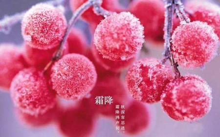迎霜节是什么节日 迎霜节是什么节日
