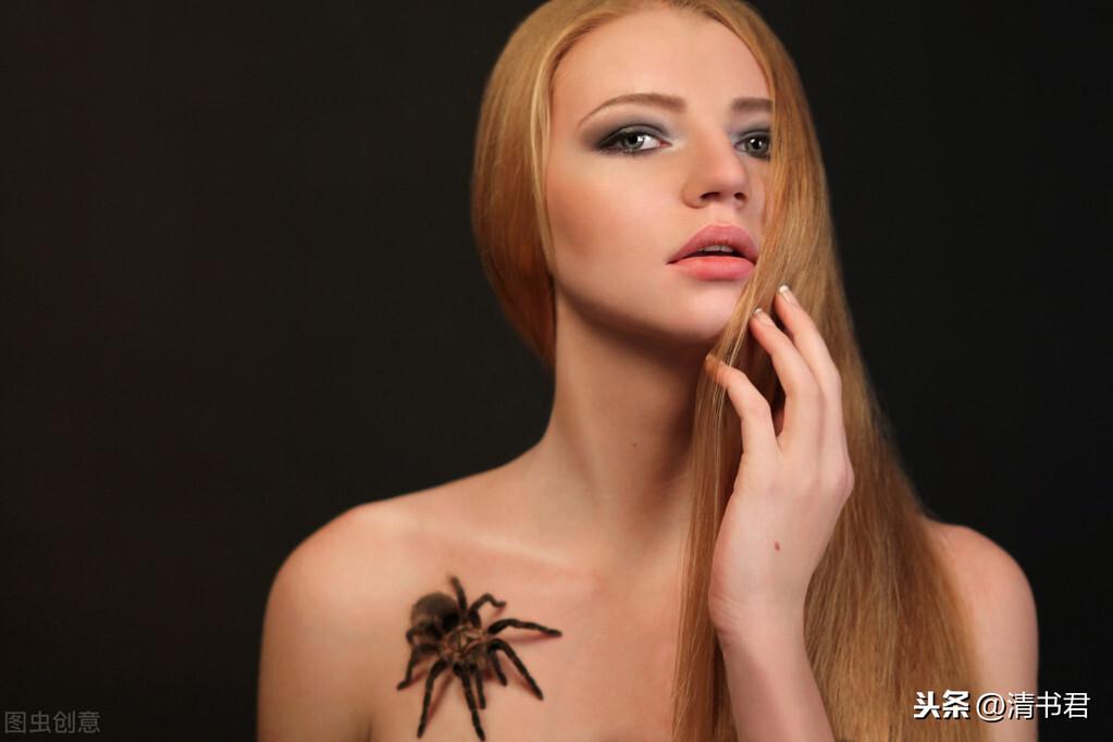 火玫瑰蜘蛛为啥突然狂踢毛？新手必看紧急处理攻略！