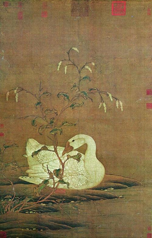 宠物貂真的适合当家庭伴侣吗? 宠物貂真的适合当家庭伴侣吗?