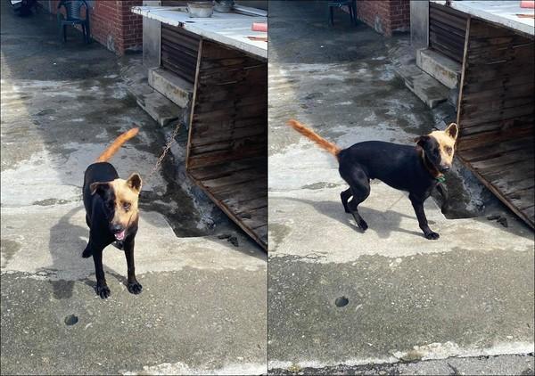 2023年农历4月祈福吉日查询：哪几天适合祈福