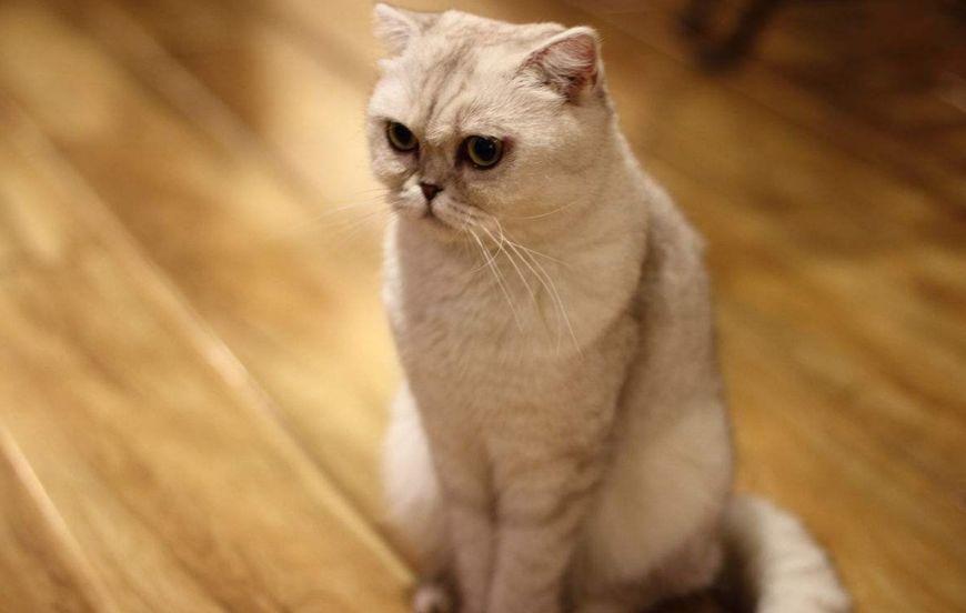 淘宝页面突然打不开？这5招真的管用吗？