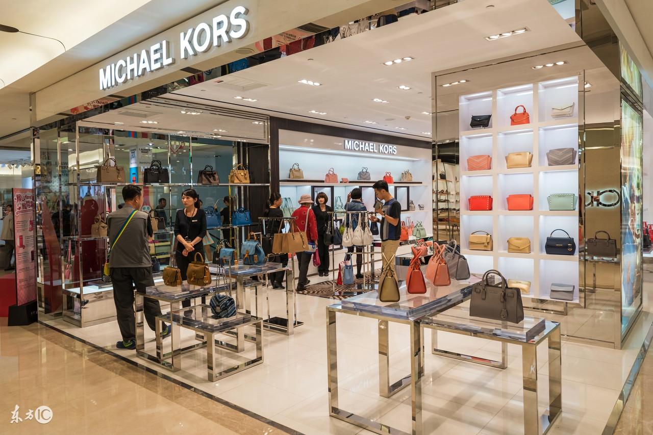 波奇网：约克夏游泳必备手册您不可不知