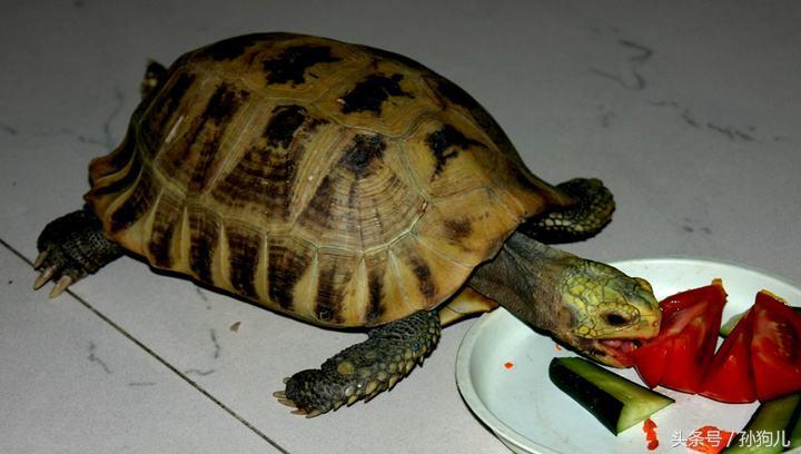 2022年3月7日穿啥颜色能转运？