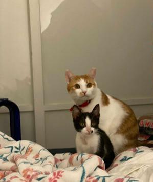 被商家坑了只能认栽？315投诉到底靠不靠谱？