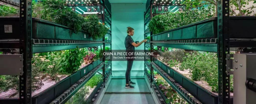 新手也能靠亚马逊日本躺着赚钱吗？