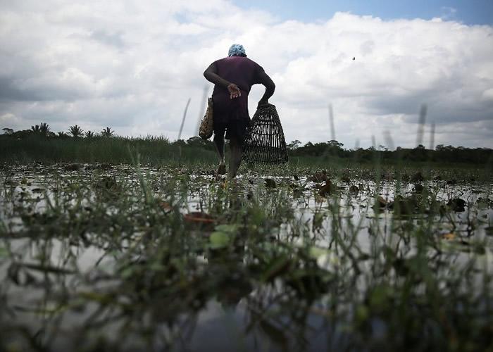 养松狮到底要花多少钱？新手避坑指南来了