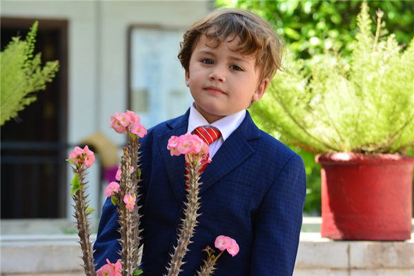 芷读音_芷怎么读_芷读什么拼音