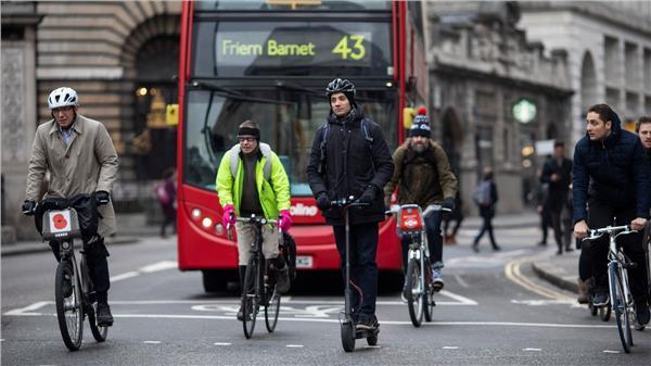 为什么你的宠物蛇妖总盯着你的棒棒糖？