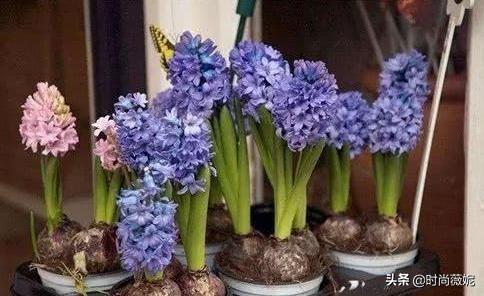 为什么扔铜钱就能预测未来？