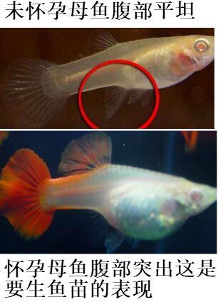 诺丁汉大学华人论坛到底藏着多少宝藏？