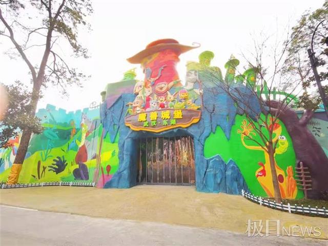 想养爬宠又怕麻烦？这种会卖萌的沙漠精灵适合你吗？