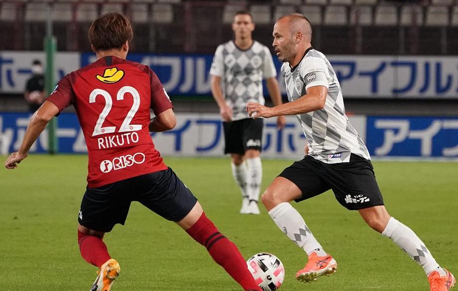 如何选择红尾蚺的底部垫材？这里有你需要知道的方法