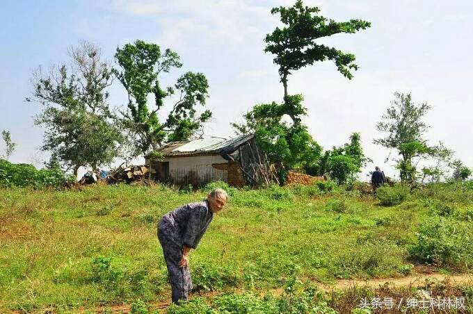 佳荷新手如何三天内突破战力瓶颈？