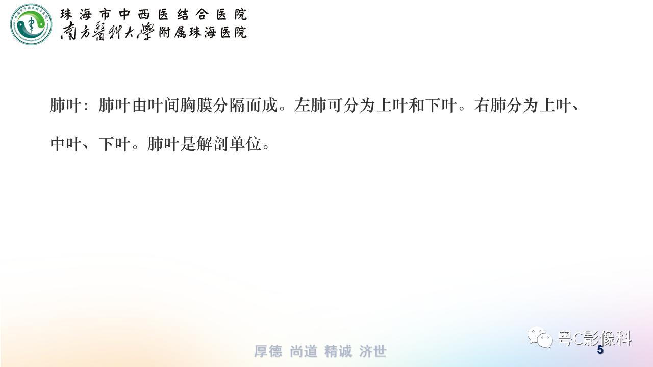 犬猫大叶性肺炎的症状、诊断与治疗方法详解 犬猫大叶性肺炎的症状、诊断与治疗方法详解
