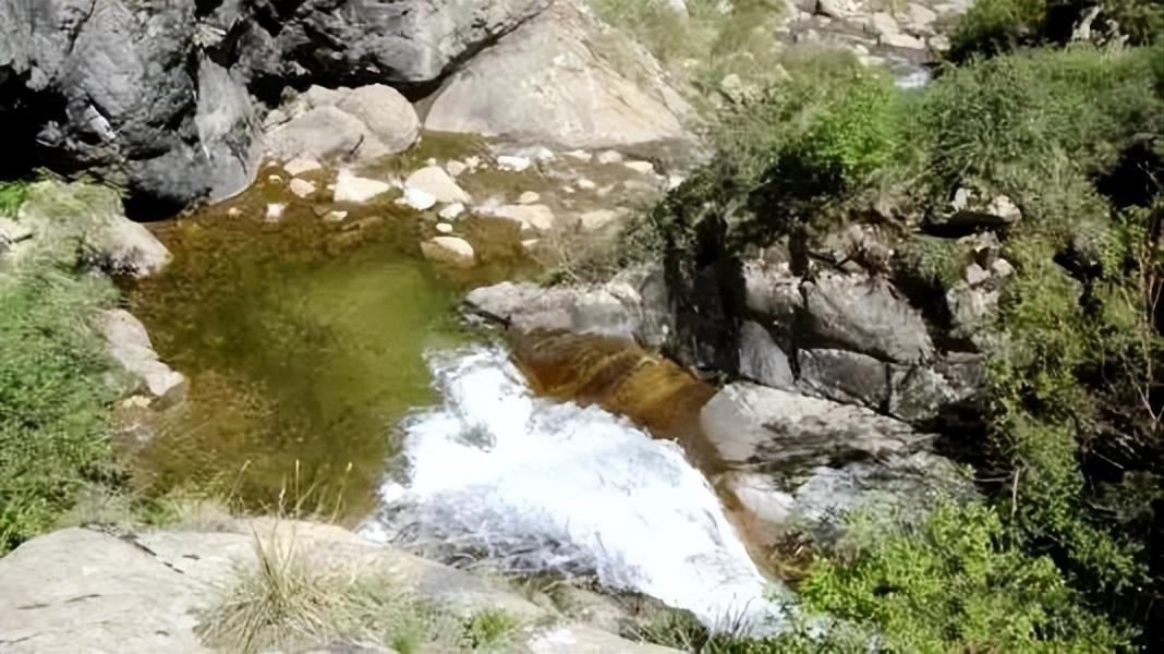 新手养獭兔真能年入十万吗？