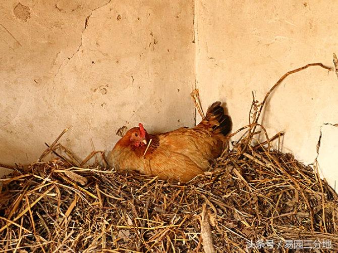 你的出生时辰藏着多少人生密码？