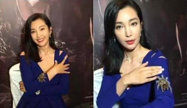 火玫瑰蜘蛛真的适合新手养吗？