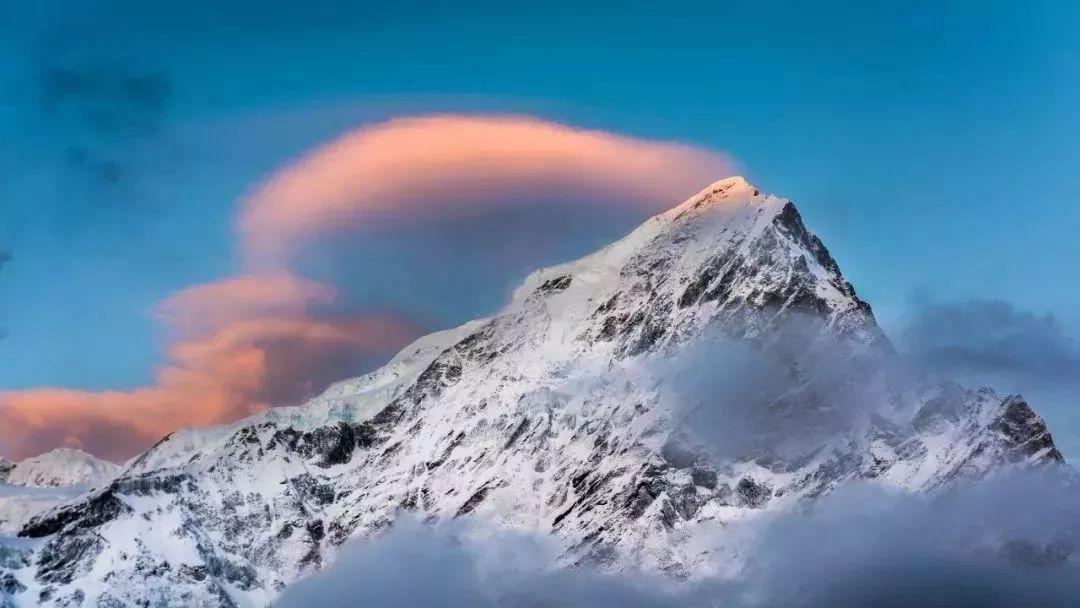 波奇全面关爱宠物生活，打造宠物健康快乐家园