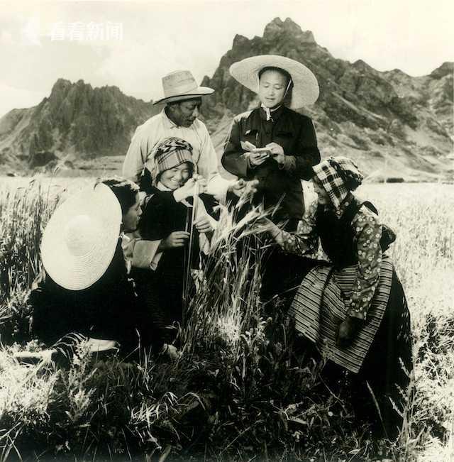 1976年出生到底属龙还是属蛇？