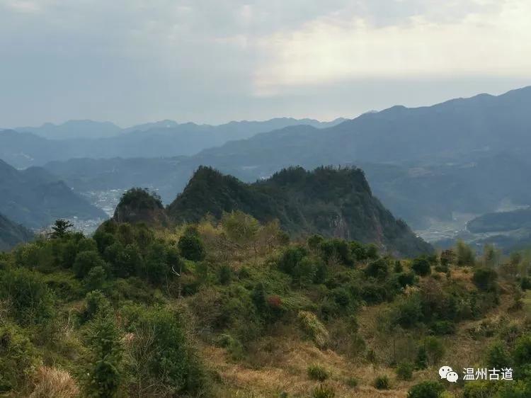 垂字拼音为啥总让人打错？