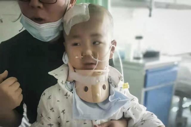 金曼龙鱼真的适合新手养吗？