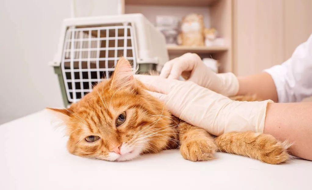 在苏宁易购买手机真的靠谱吗？