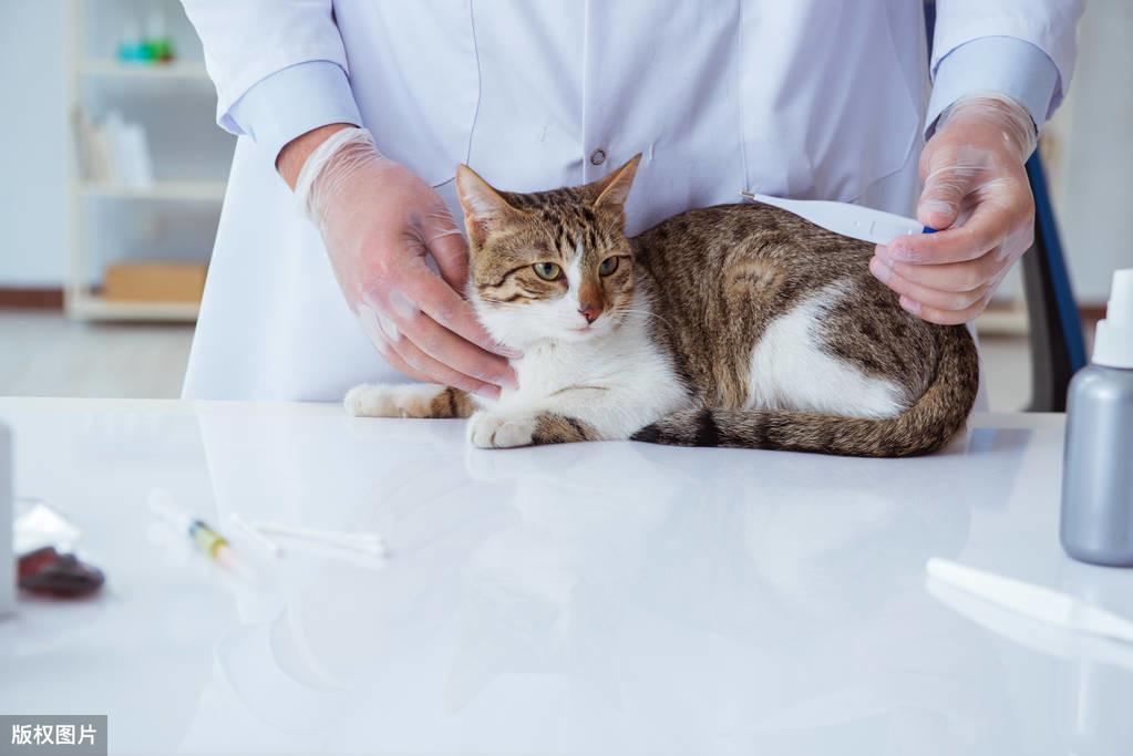 做淘宝代理真的能零成本月入过万吗？