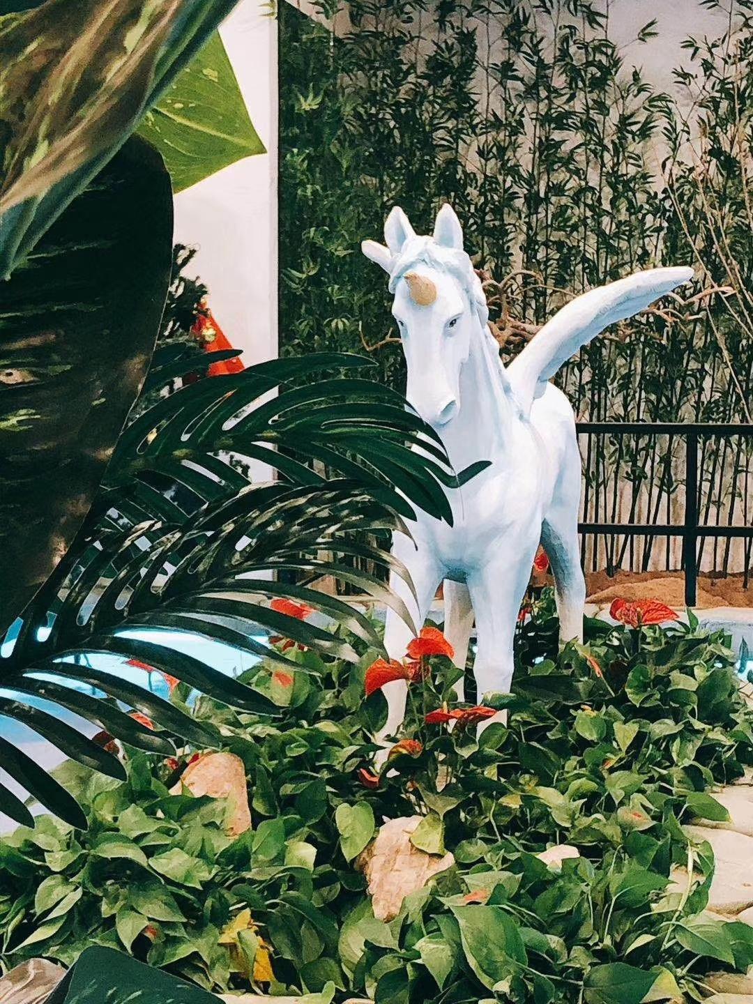 新手养守宫真的像养仙人掌一样简单吗？