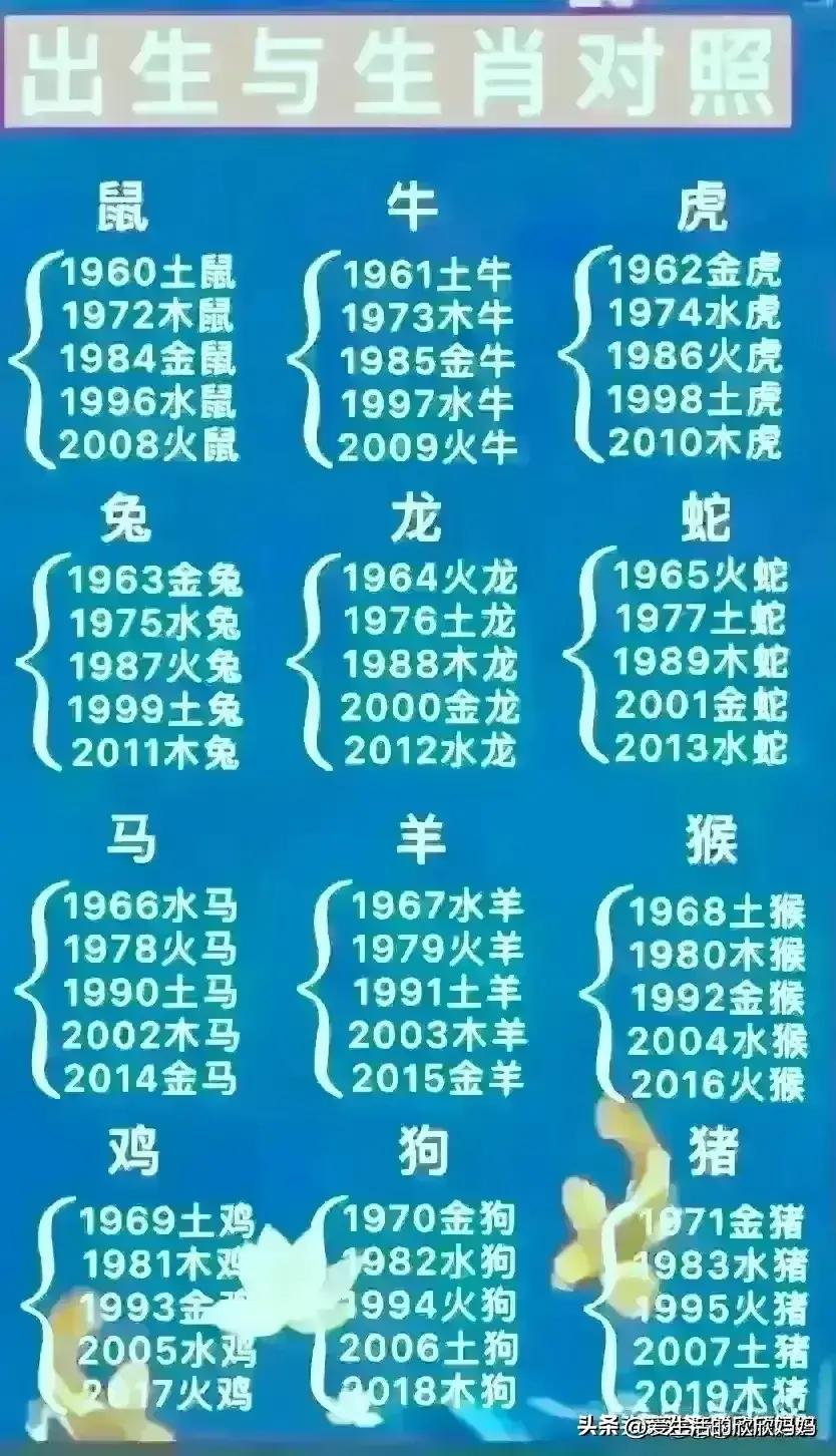 2024年日历怎么选才能让生活更高效？