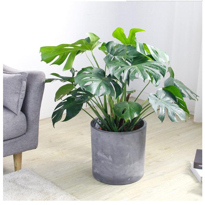 淘宝618到底哪一波最便宜？