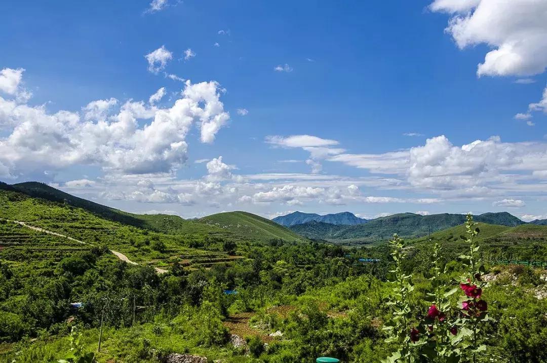 田姓宝宝取名真让人头大？