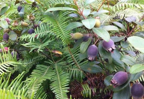 杜塞华人论坛官网能帮你解决哪些燃眉之急？