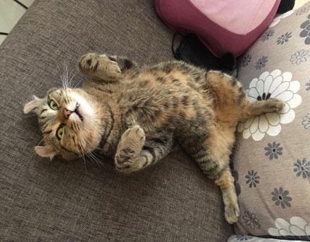 2014年的年历表到底藏着什么秘密？