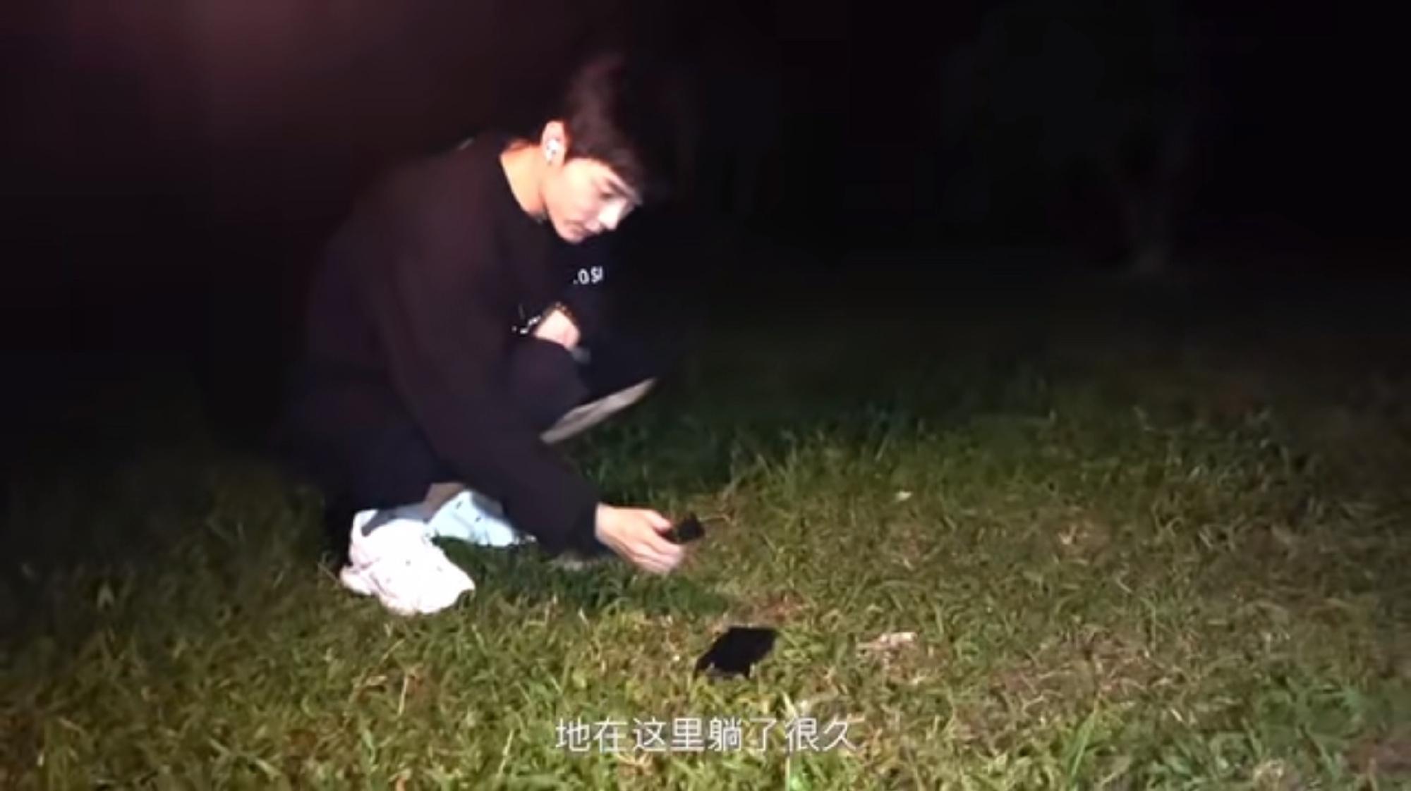 怎么用手机拍出让百万点赞的飞盘狗视频？