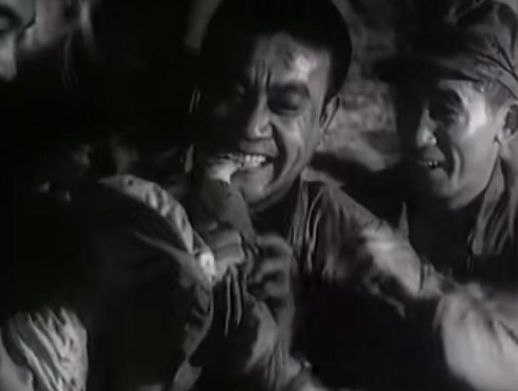 松鼠到底有多聪明？新手必看的超详细观察指南