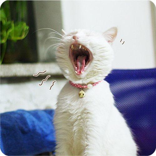 淘宝店铺信誉提升技巧：掌握时间管理，快速提高信誉