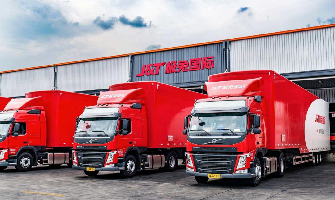 水榕怎么养才不会烂根？