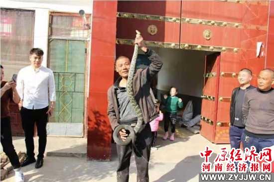 养大王蛇真的像养猫一样简单吗？